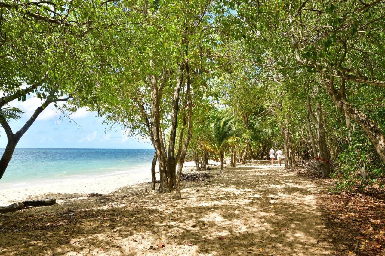 Manou Apartment Riviere-Pilote Bagian luar foto
